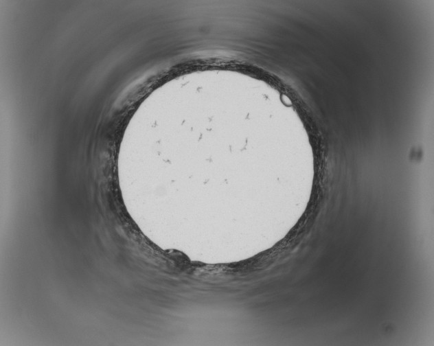 X0000112470967200909281042
