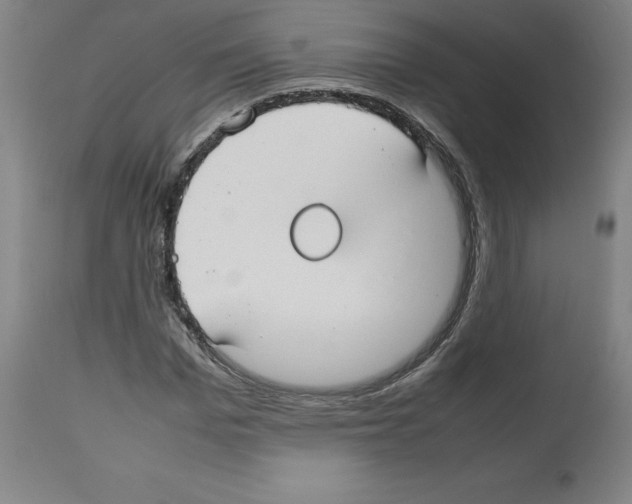 X0000112470969200909281042