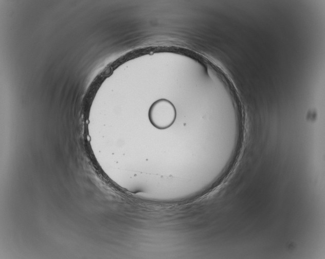 X0000112470973200909281042