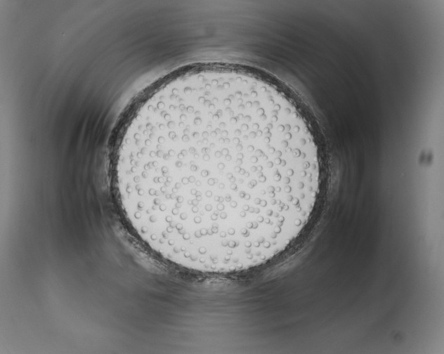 X0000112470974200909281042