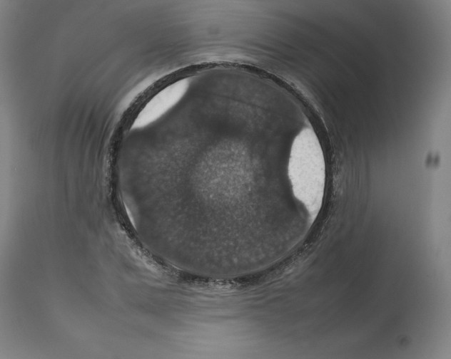 X0000112470975200909281042