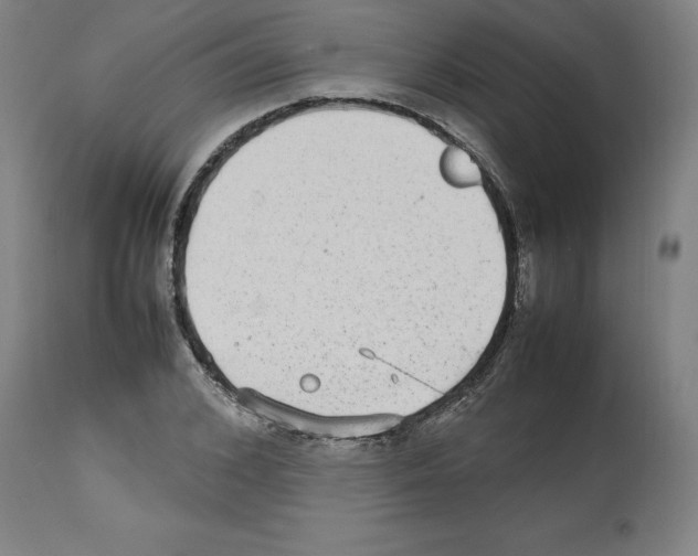 X0000112470976200909281042