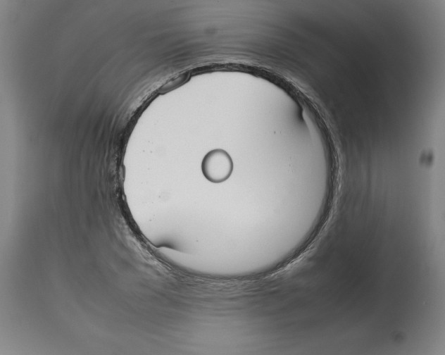 X0000112470977200909281042