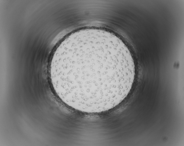 X0000112470978200909281042
