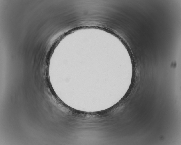 X0000112470979200909281042
