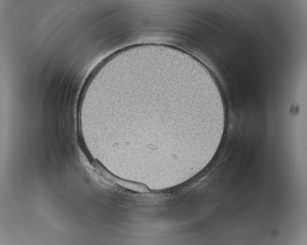 X0000112470980200909281042