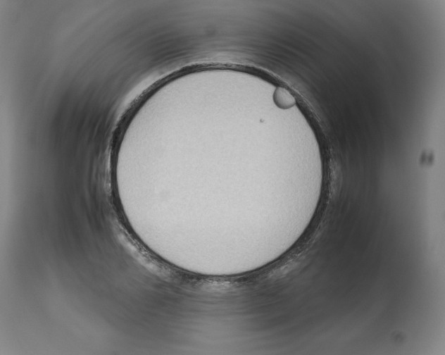 X0000112470982200909281041
