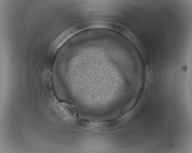 X0000112470985200909281041