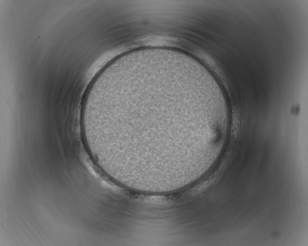 X0000112470986200909281041