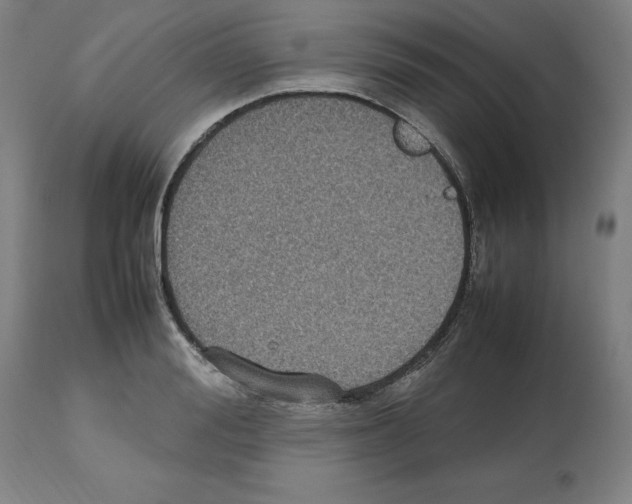 X0000112470988200909281041