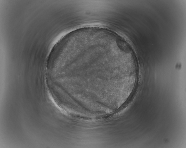 X0000112470989200909281041