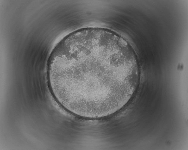 X0000112470990200909281041