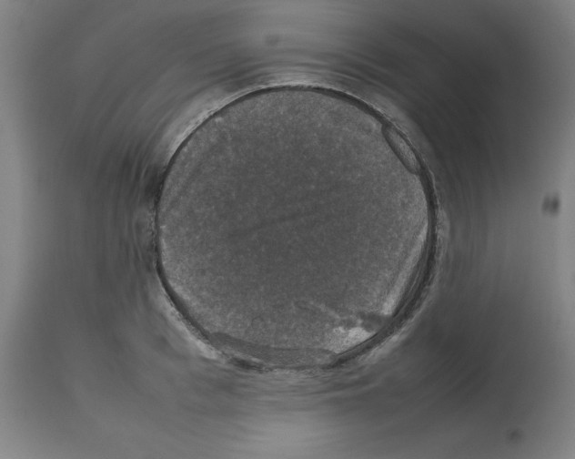 X0000112470993200909281041