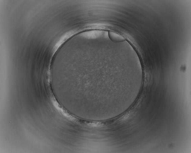 X0000112470994200909281041