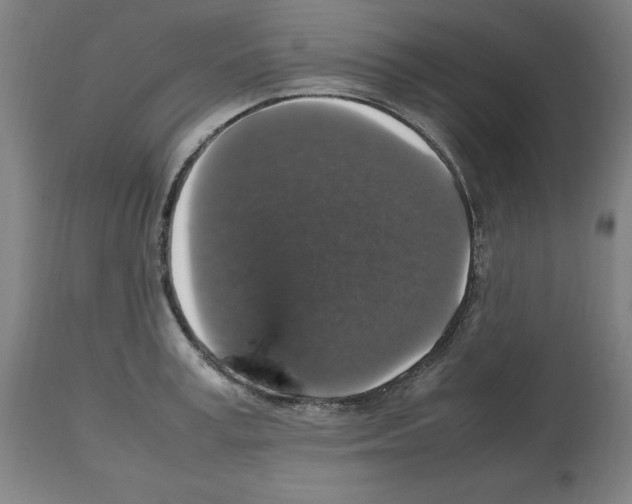 X0000112470995200909281041