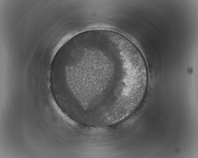 X0000112470997200909281041