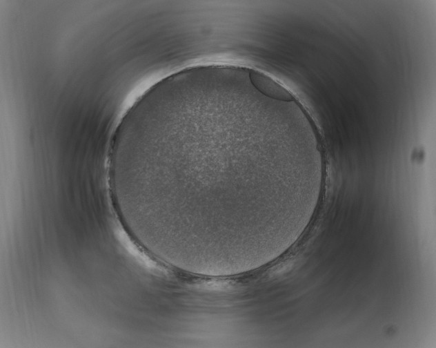 X0000112470998200909281041