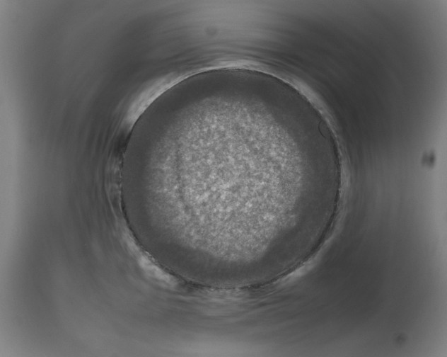 X0000112471001200909281041