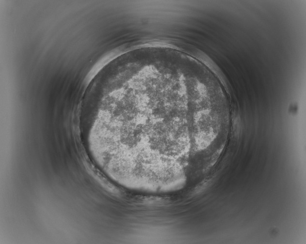 X0000112471002200909281041