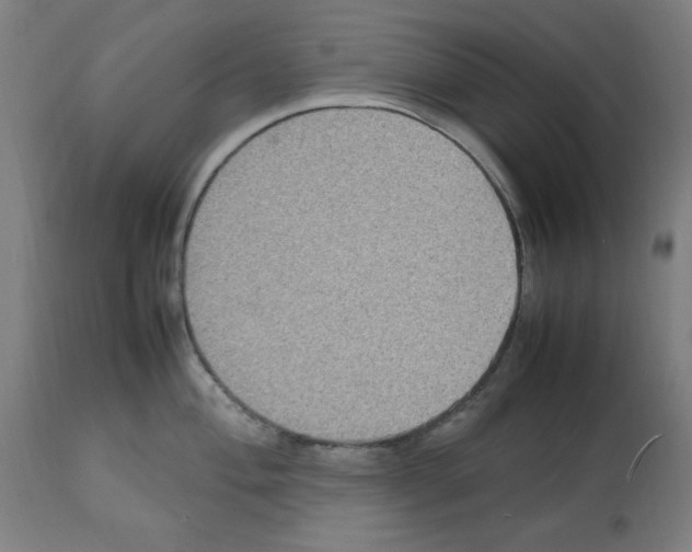 X0000112471004200909281041