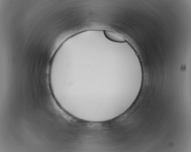 X0000112471006200909281041