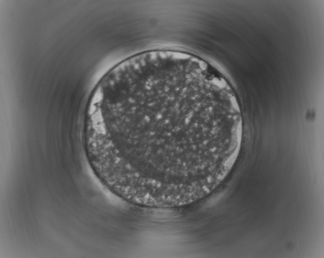X0000112471007200909281041