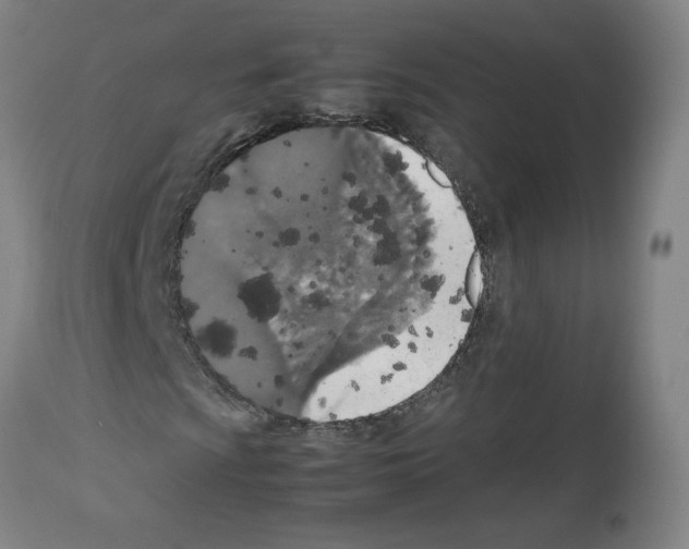 X0000112471009200909281040
