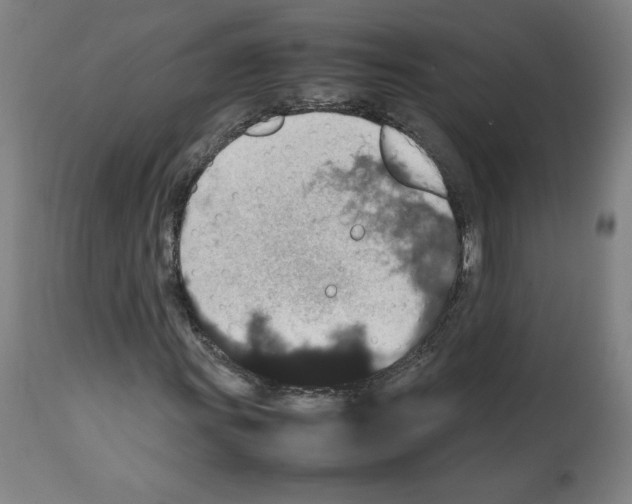 X0000112471011200909281041