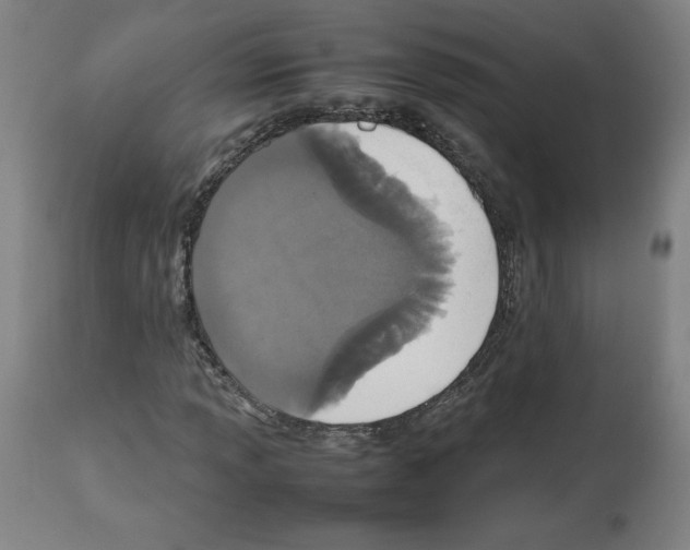 X0000112471013200909281041