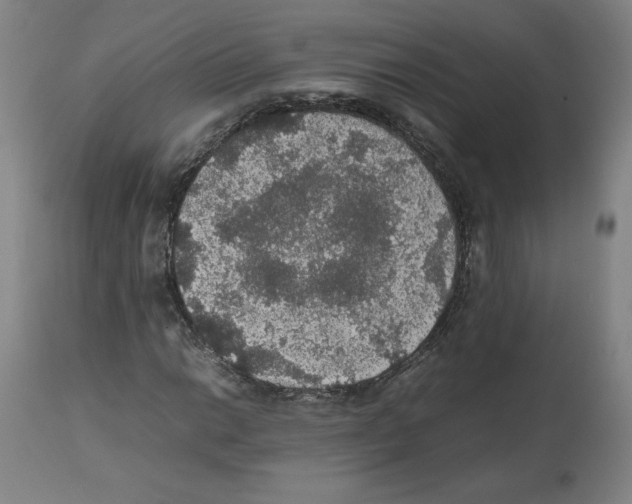 X0000112471014200909281041