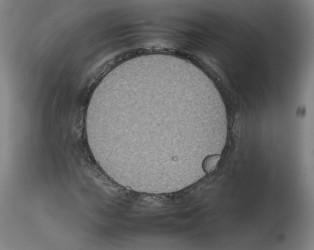 X0000112471015200909281041