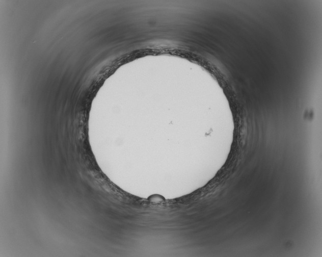 X0000112471016200909281041