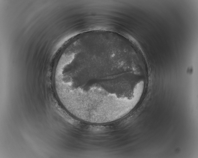 X0000112471019200909281041