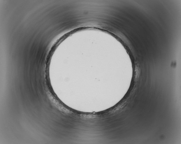 X0000112471020200909281041