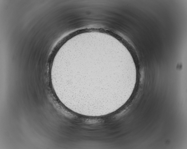 X0000112471021200909281041