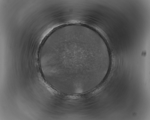 X0000112471023200909281041