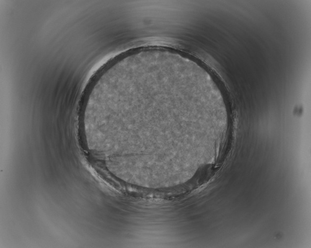 X0000112471024200909281041