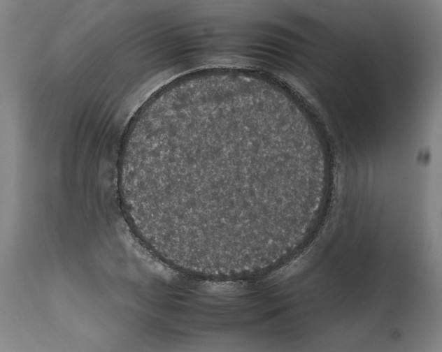 X0000112471025200909281041