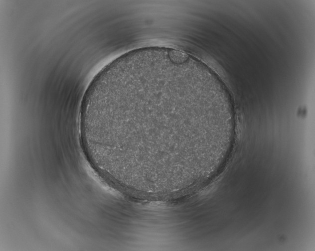 X0000112471028200909281041