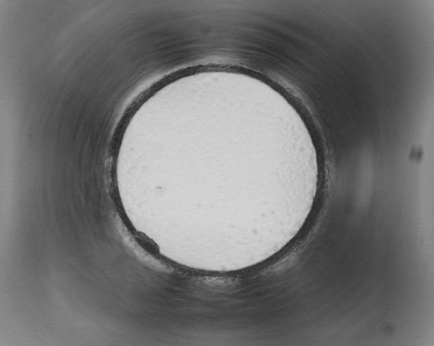 X0000112471029200909281041