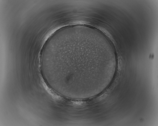 X0000112471031200909281041