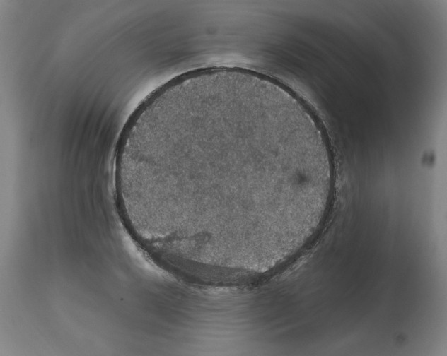 X0000112471032200909281041