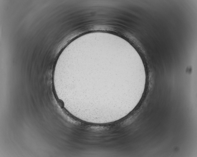 X0000112471033200909281041