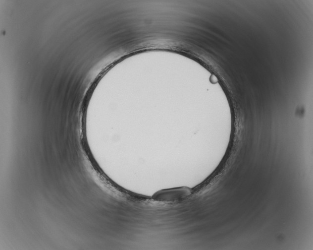 X0000112471034200909281041