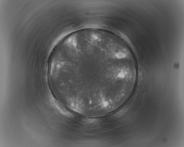 X0000112471035200909281041