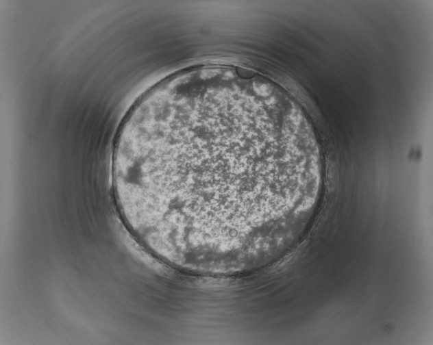 X0000112471036200909281041