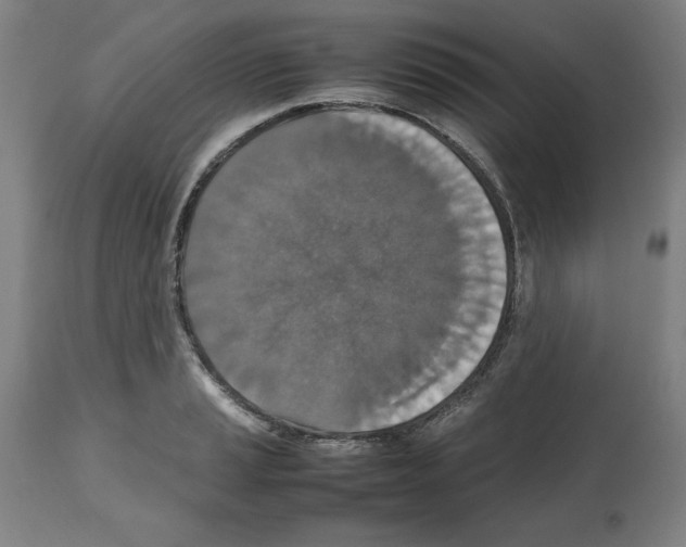 X0000112471037200909281041