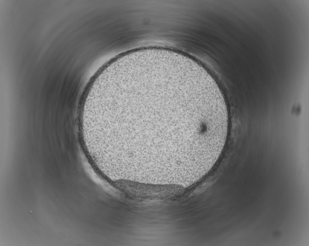 X0000112471038200909281041