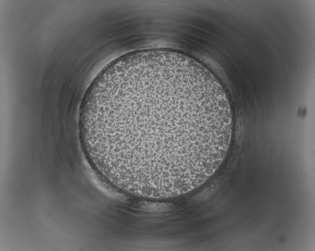 X0000112471039200909281041