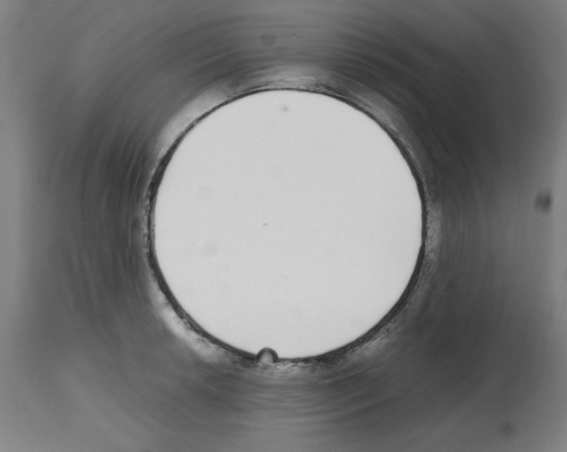 X0000112471042200909281041